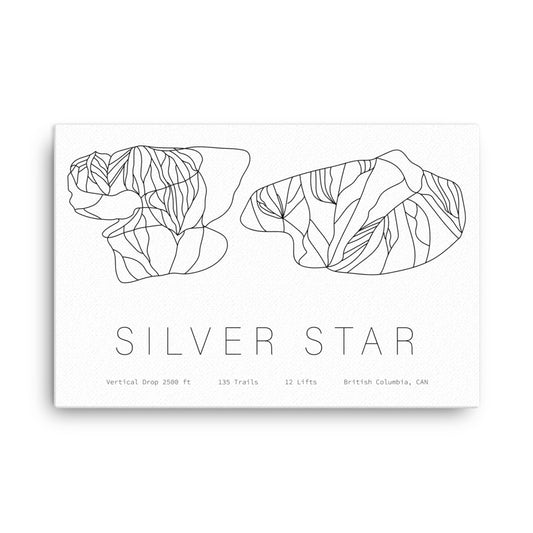 Canvas - Silver Star