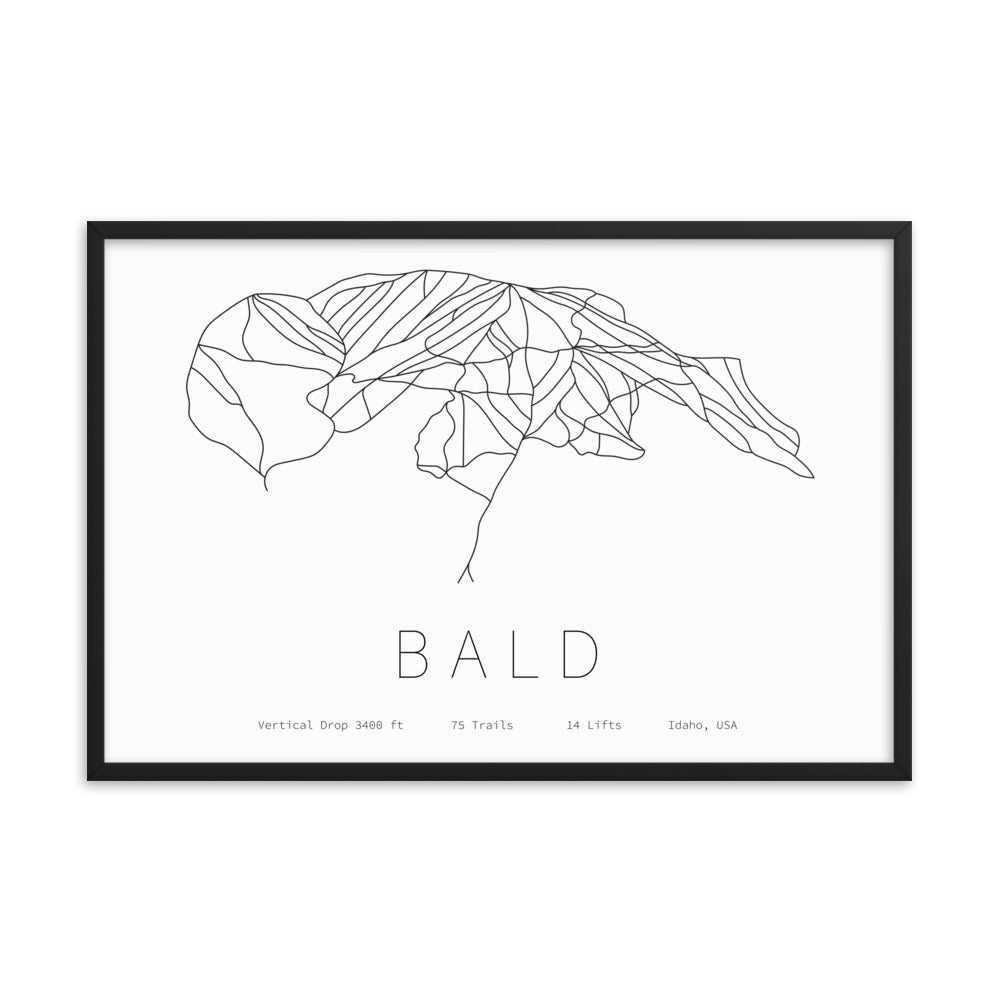 Framed Poster - Bald