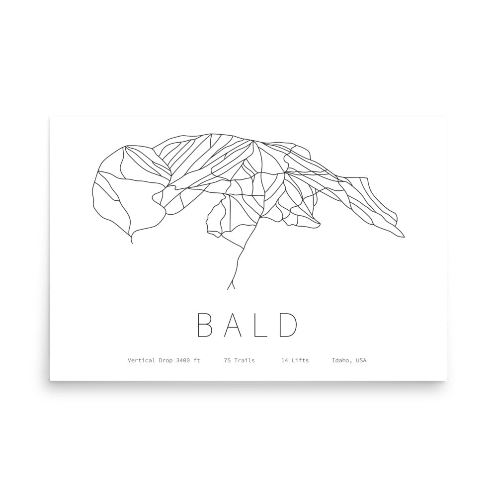 Poster - Bald