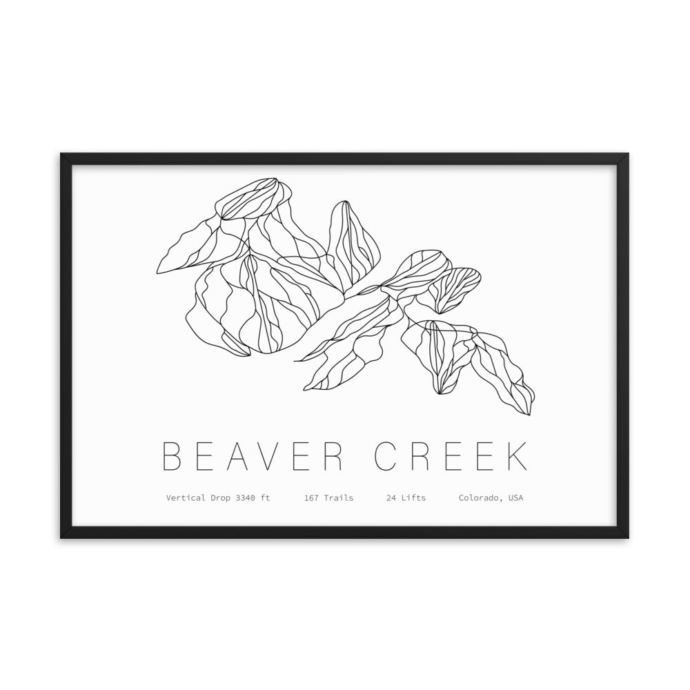 Framed Poster - Beaver Creek