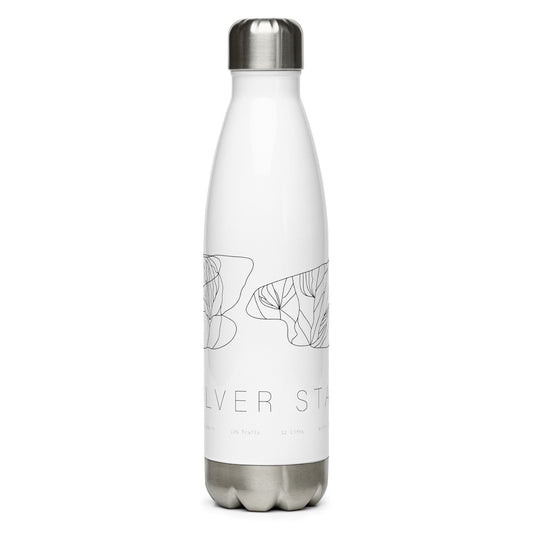 Water Bottle - Silver Star