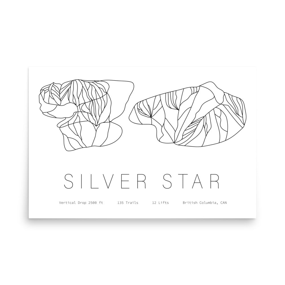 Poster - Silver Star