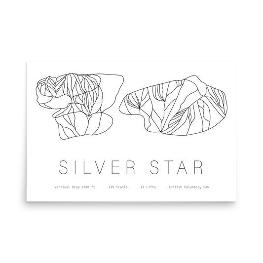 Poster - Silver Star