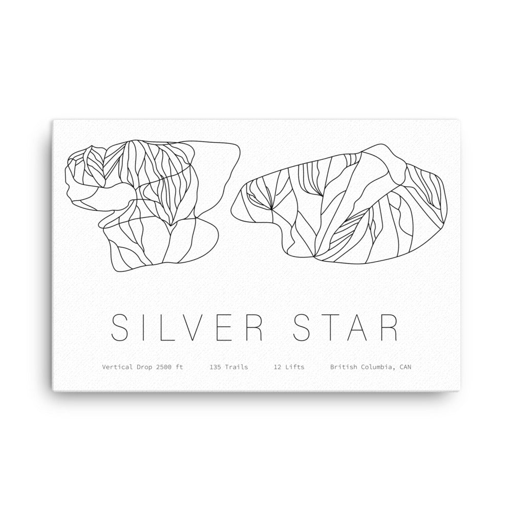 Canvas - Silver Star