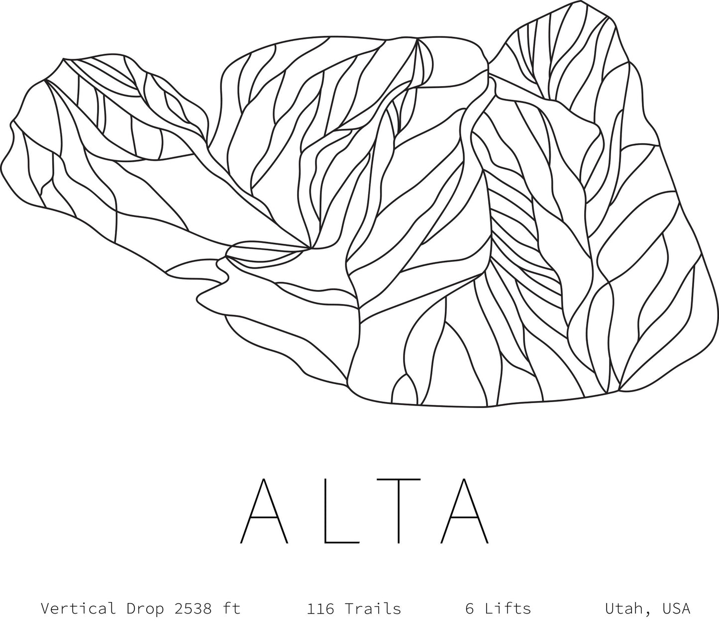 Water Bottle - Alta