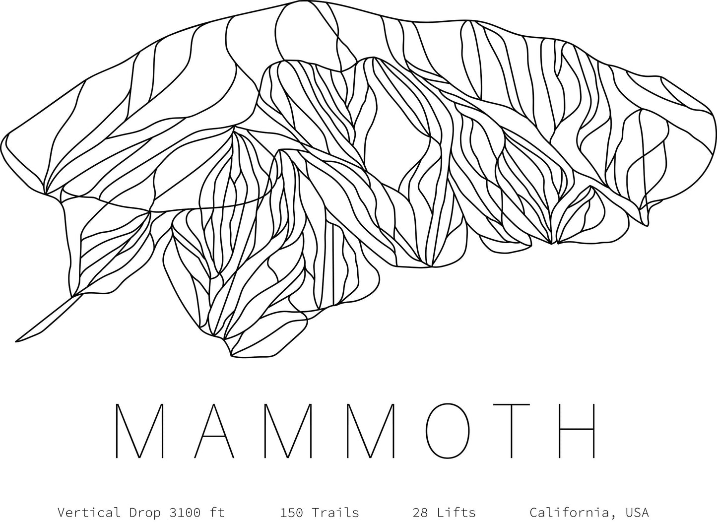 Water Bottle - Mammoth