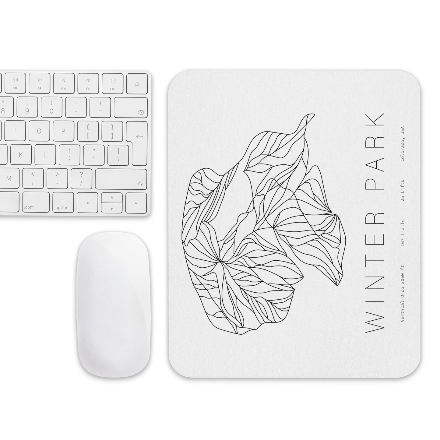 Mouse Pad - Winter Park