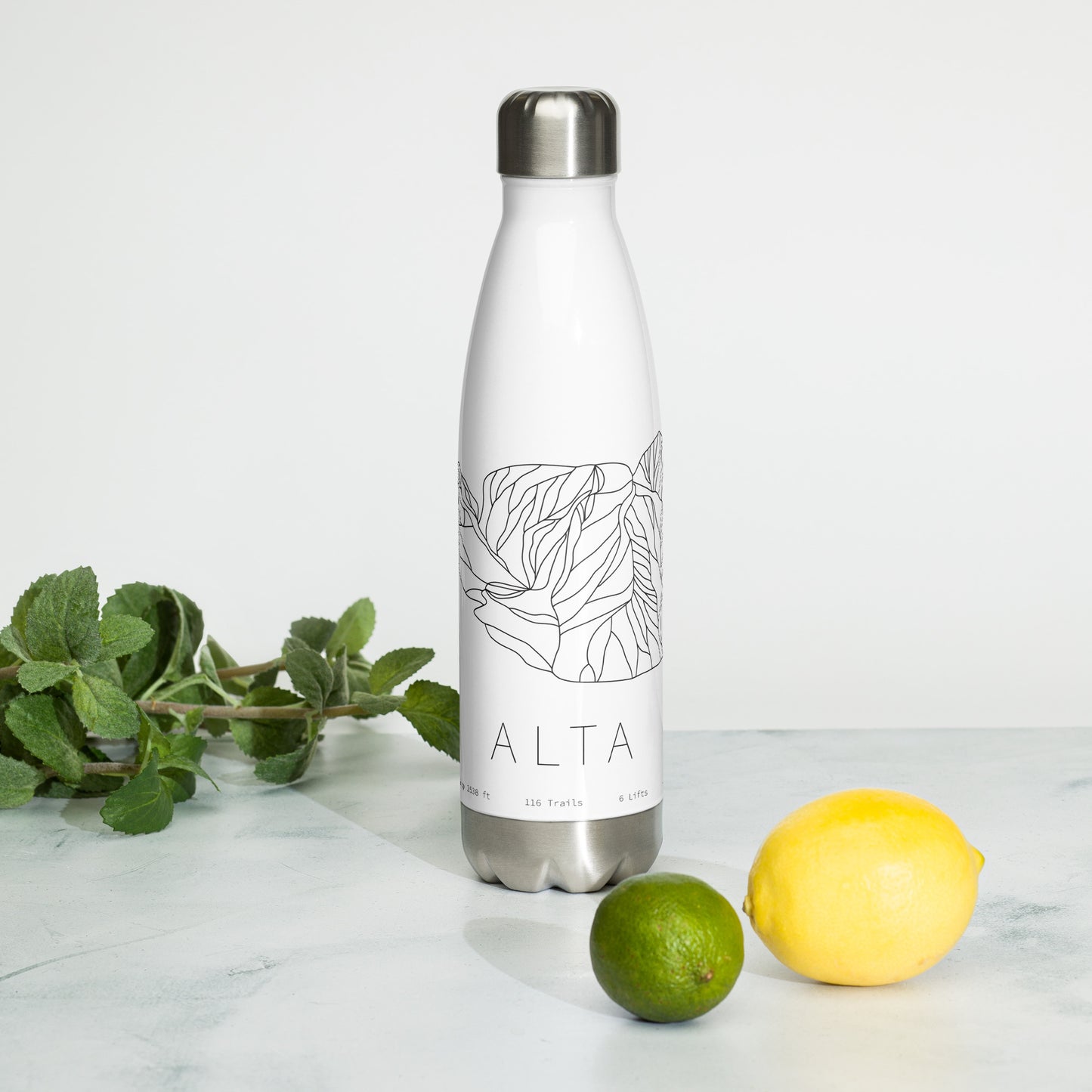 Water Bottle - Alta